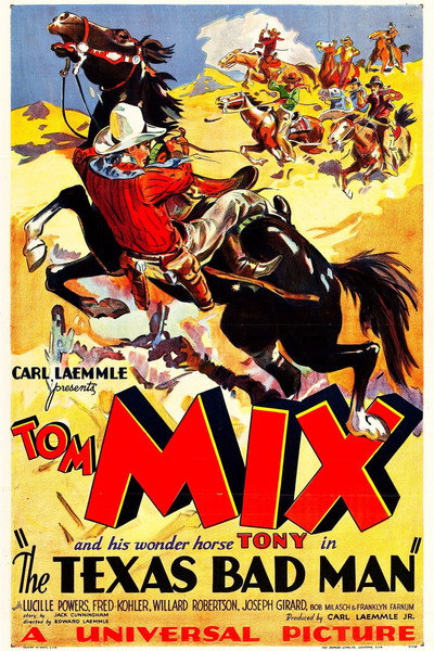 Póster de El bandolero de Texas