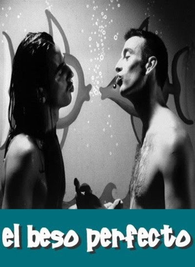 Póster de El beso perfecto