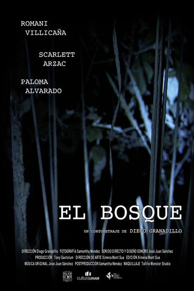 Póster de El Bosque