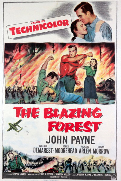 Póster de El bosque en llamas