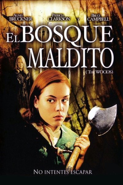Póster de El bosque maldito
