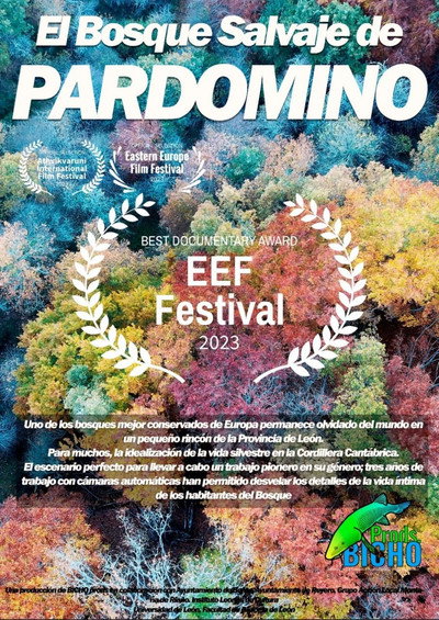 Póster de El Bosque Salvaje de Pardomino