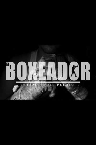 Póster de El boxeador