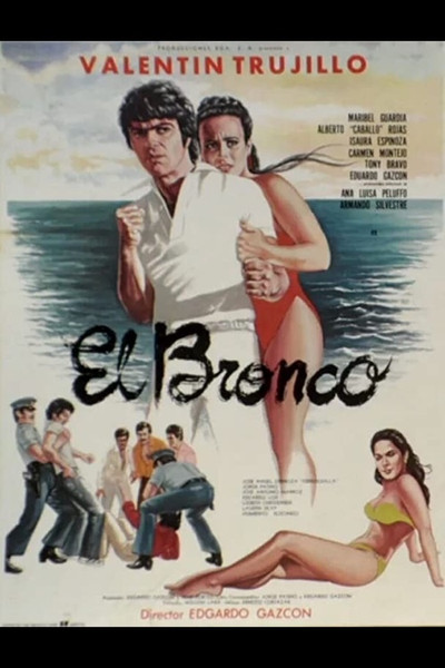 Póster de El Bronco