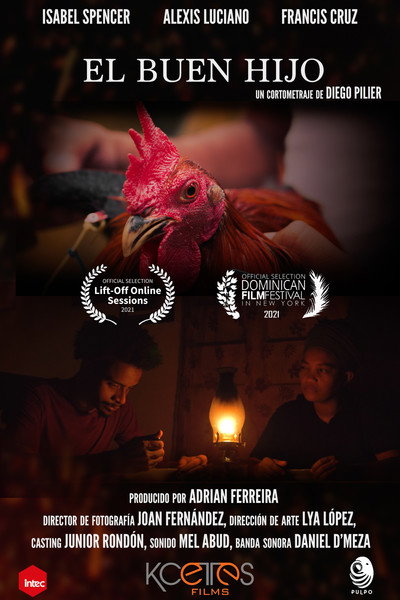 Póster de El buen hijo