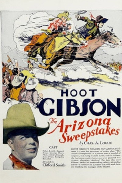 Póster de El caballero de Arizona
