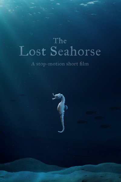 Póster de El Caballito de Mar Perdido