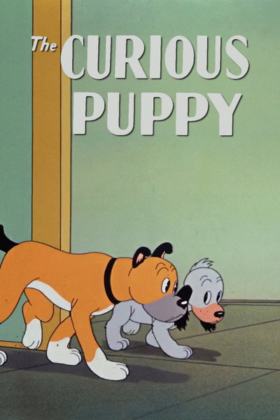 Póster de El cachorro curioso