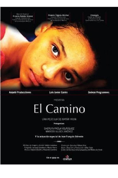 Póster de El camino