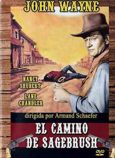 Póster de El camino de Sagebrush