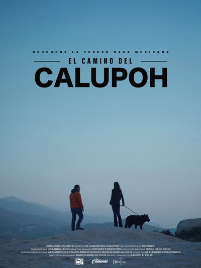 Póster de El Camino del Calupoh
