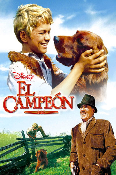 Póster de El campeón