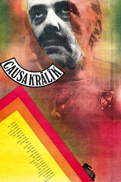 Póster de El caso del conejo