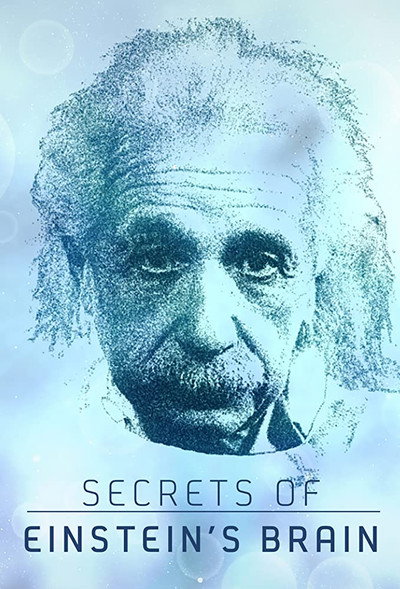 Póster de El cerebro de Einstein