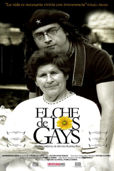 Póster de El che de los gays