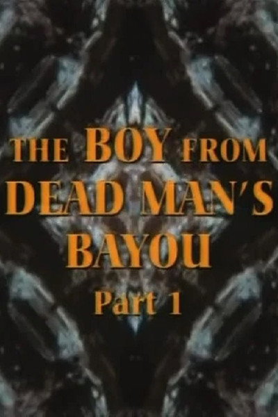 Póster de El chico de Bayou