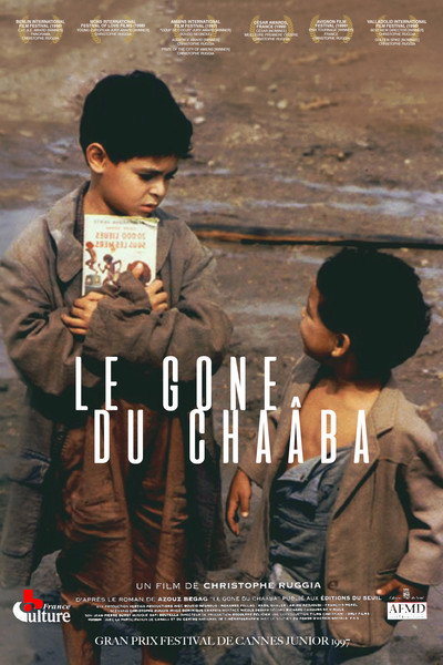 Póster de El chico del chaâba