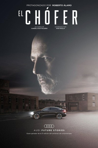 Póster de El chófer