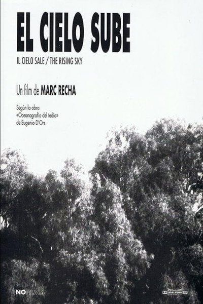 Póster de El cielo sube