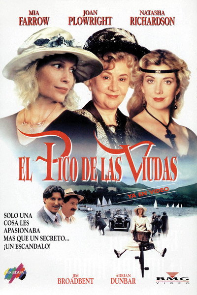 Póster de El cim de les viudes
