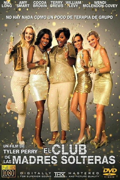 Póster de El club de las madres solteras