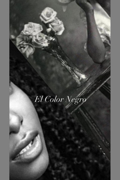 Póster de El Color Negro