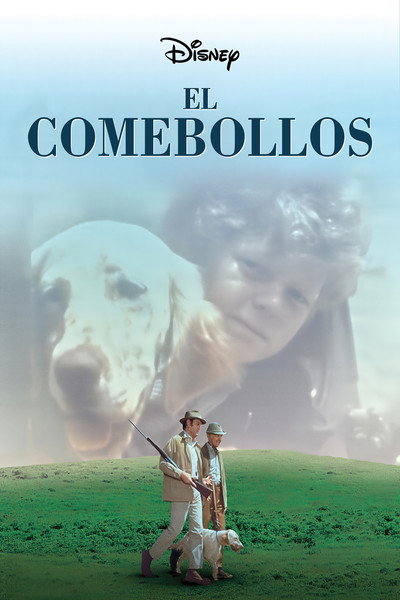 Póster de El comebollos