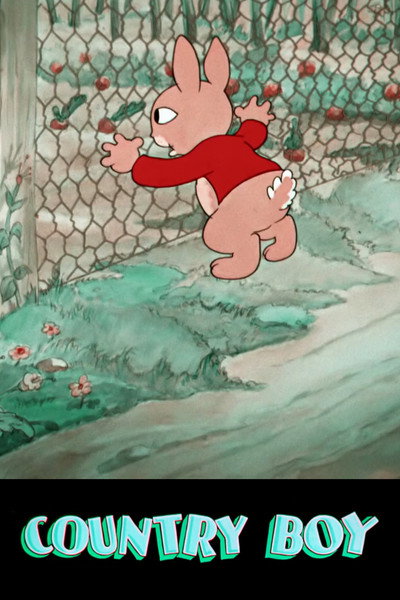 Póster de El conejo del campo