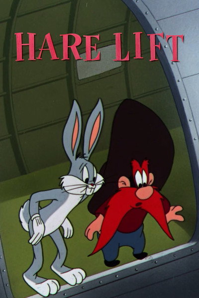 Póster de El conejo piloto