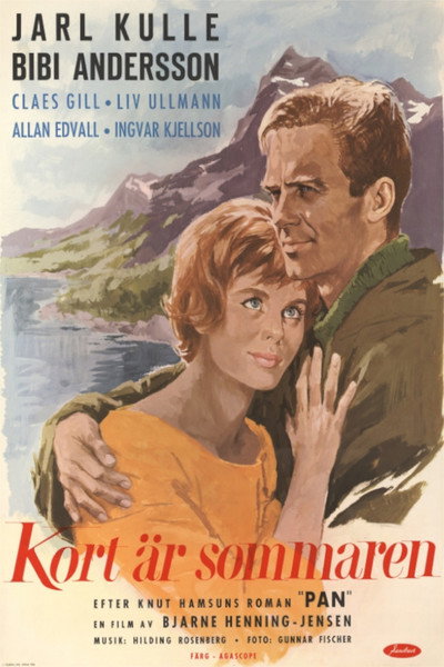 Póster de El corto verano