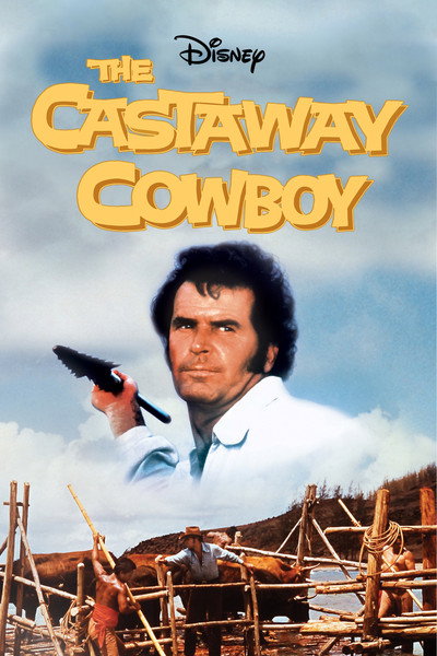 Póster de El cowboy náufrago