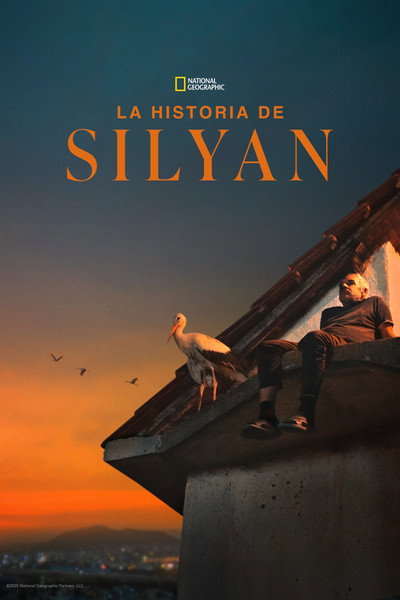 Póster de El cuento de Silyan