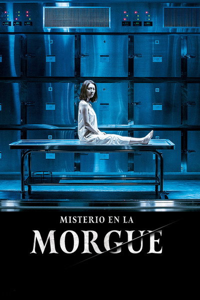 Póster de El Cuerpo