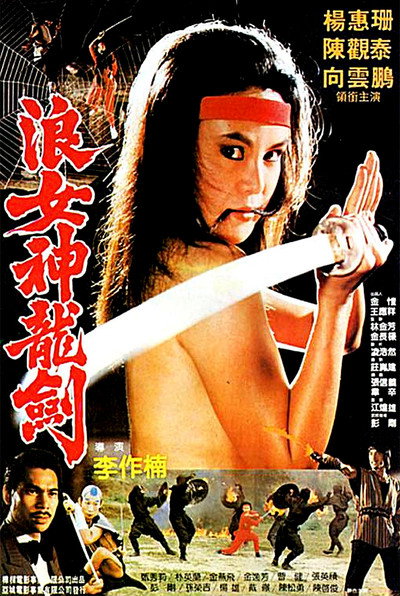 Póster de El desafío de Lady Ninja