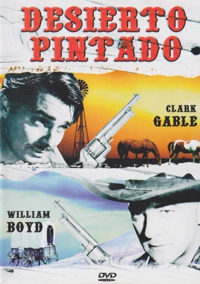 Póster de El desierto pintado
