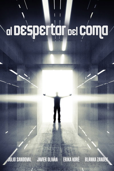 Póster de El despertar del coma