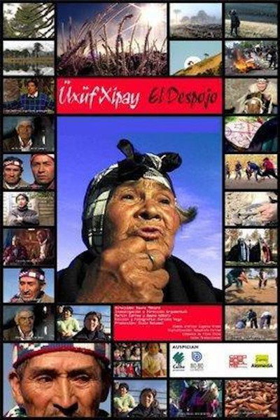 Póster de El despojo
