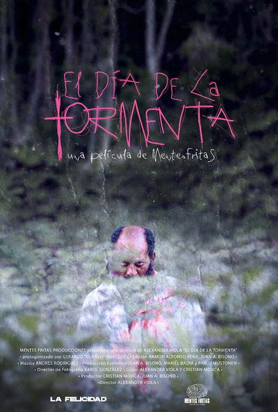 Póster de El día de la tormenta