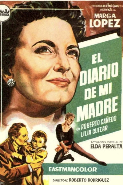 Póster de El diario de mi madre