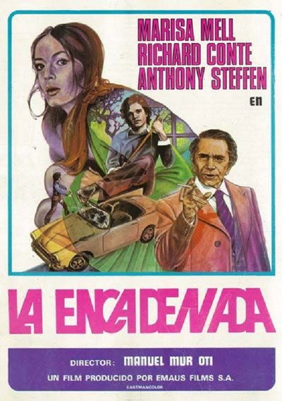 Póster de El diario de una asesina