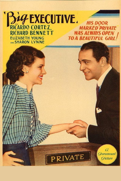 Póster de El dictador