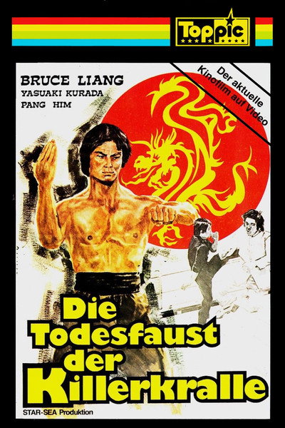 Póster de El dragón luchador