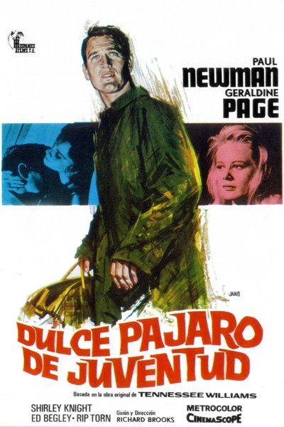 Póster de El dulce pájaro de la juventud