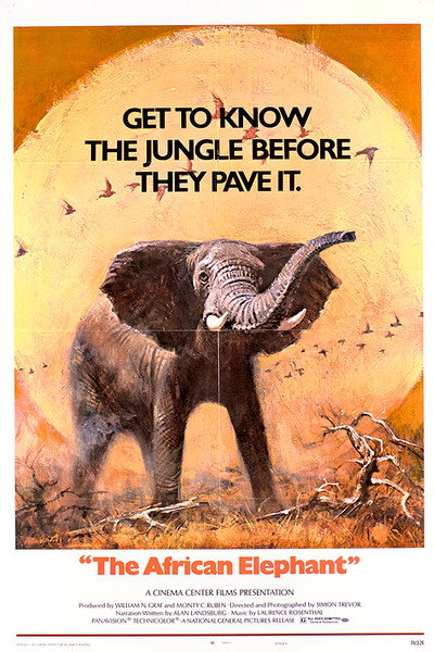 Póster de El elefante