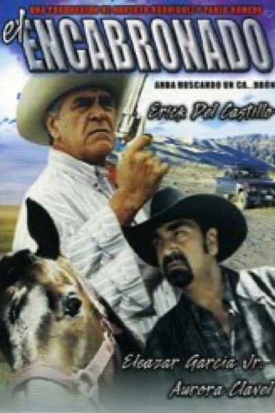 Póster de El encabronado
