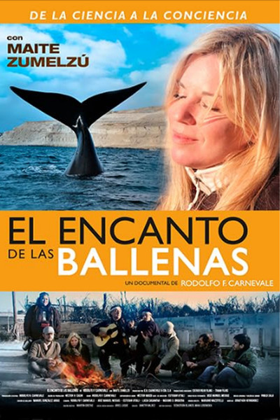 Póster de El encanto de las ballenas