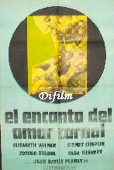 Póster de El encanto del amor prohibido