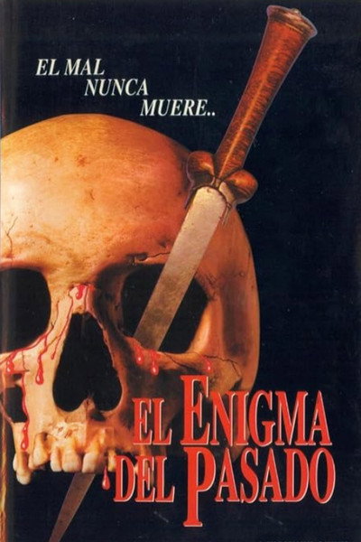 Póster de El enigma del pasado