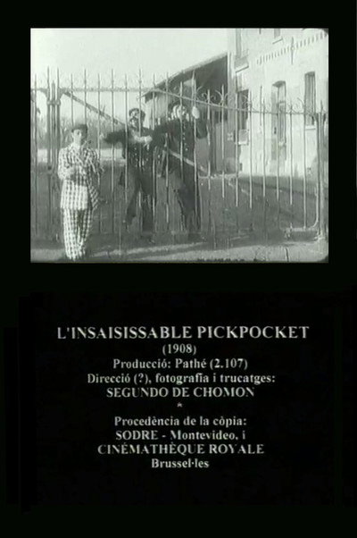 Póster de El escurridizo carterista