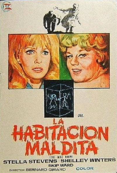Póster de El espejo de la locura